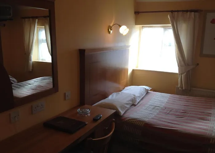 Glendine 게스트하우스 킬케니